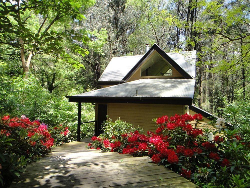 Lochiel Luxury Accommodation Olinda Eksteriør bilde