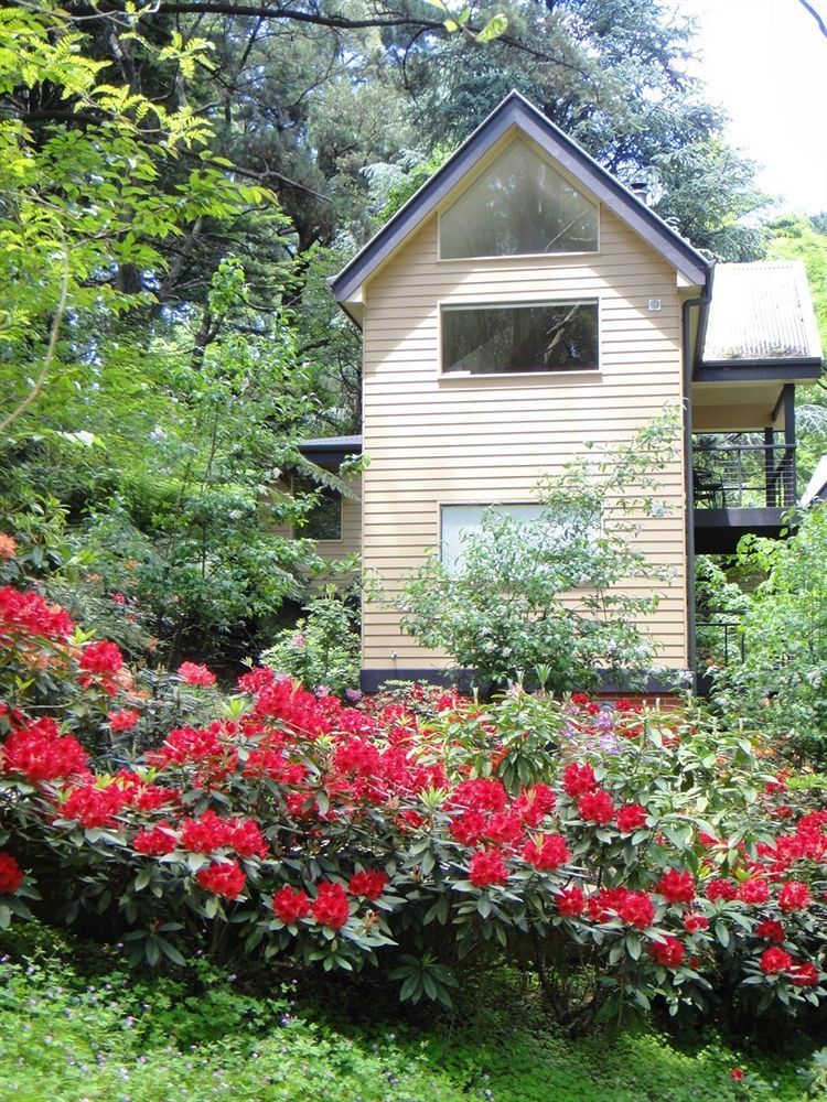 Lochiel Luxury Accommodation Olinda Eksteriør bilde