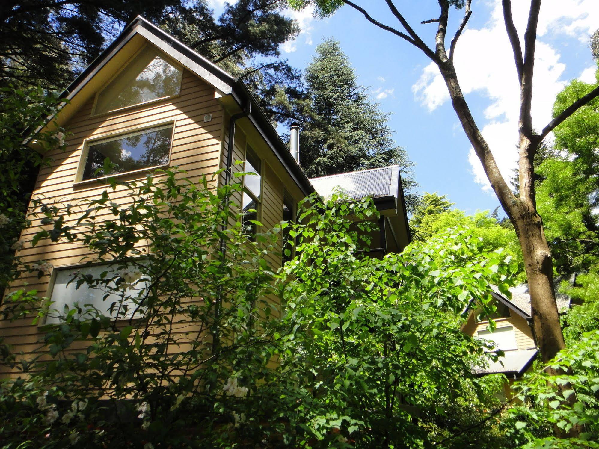 Lochiel Luxury Accommodation Olinda Eksteriør bilde